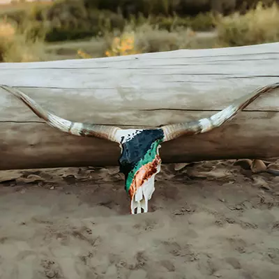 Custom Cow Skull Wall Art